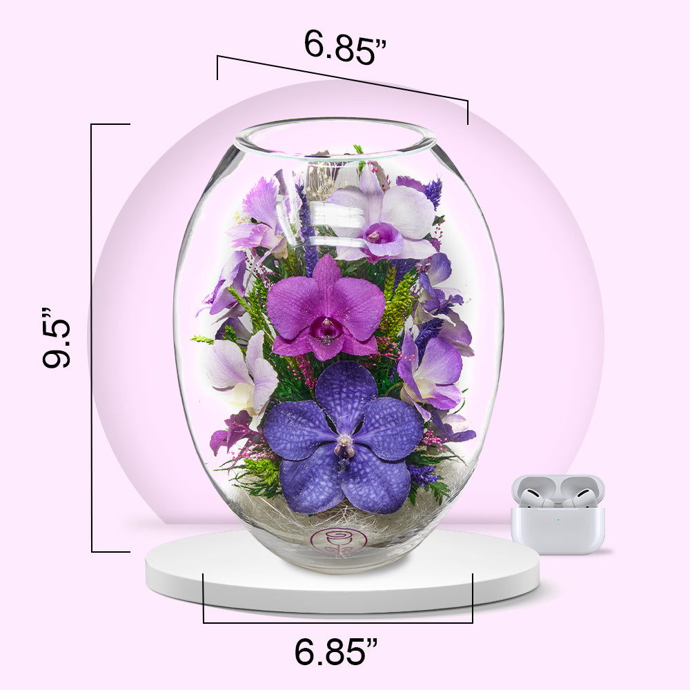 Orchid Oasis