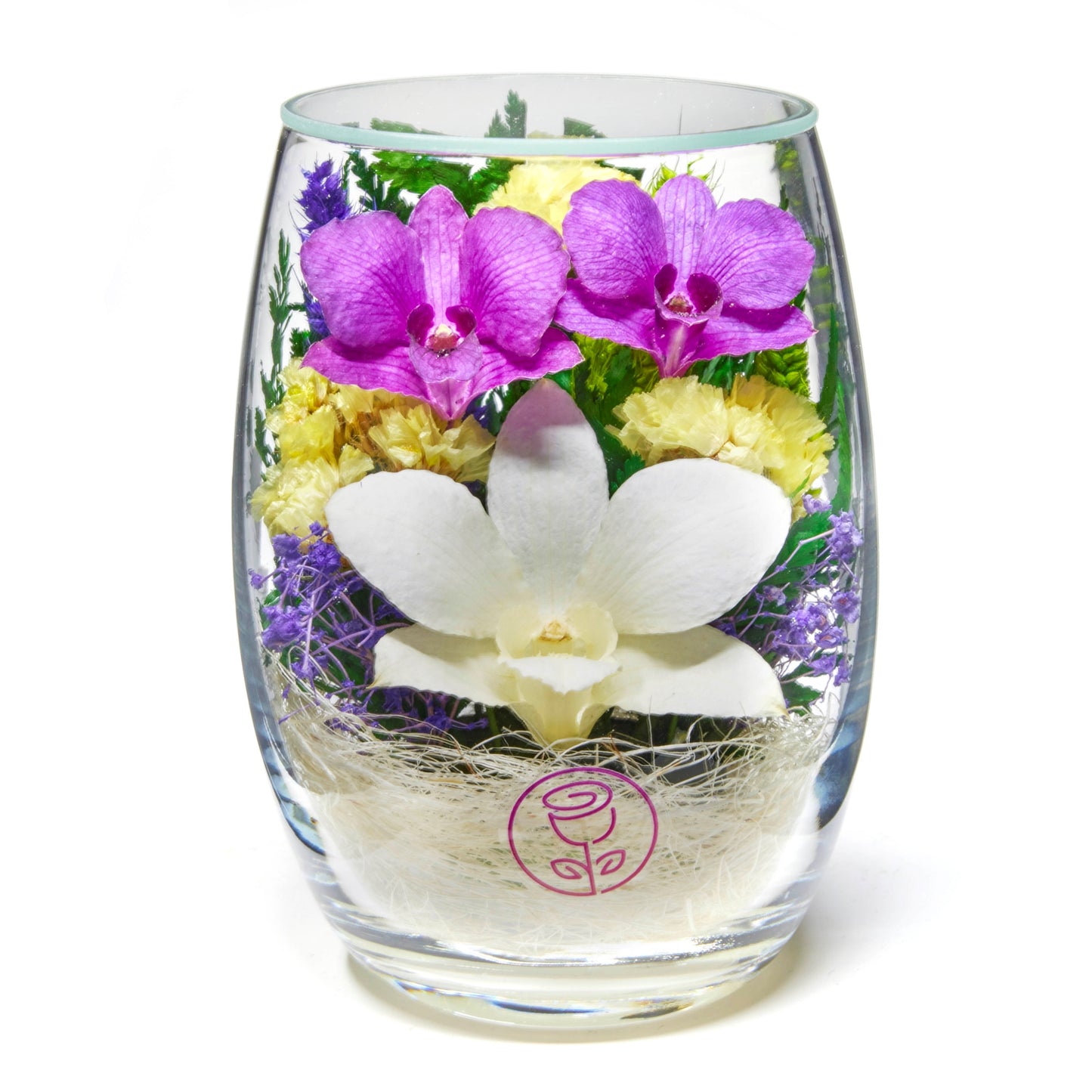 BFF Blossoms Orchids