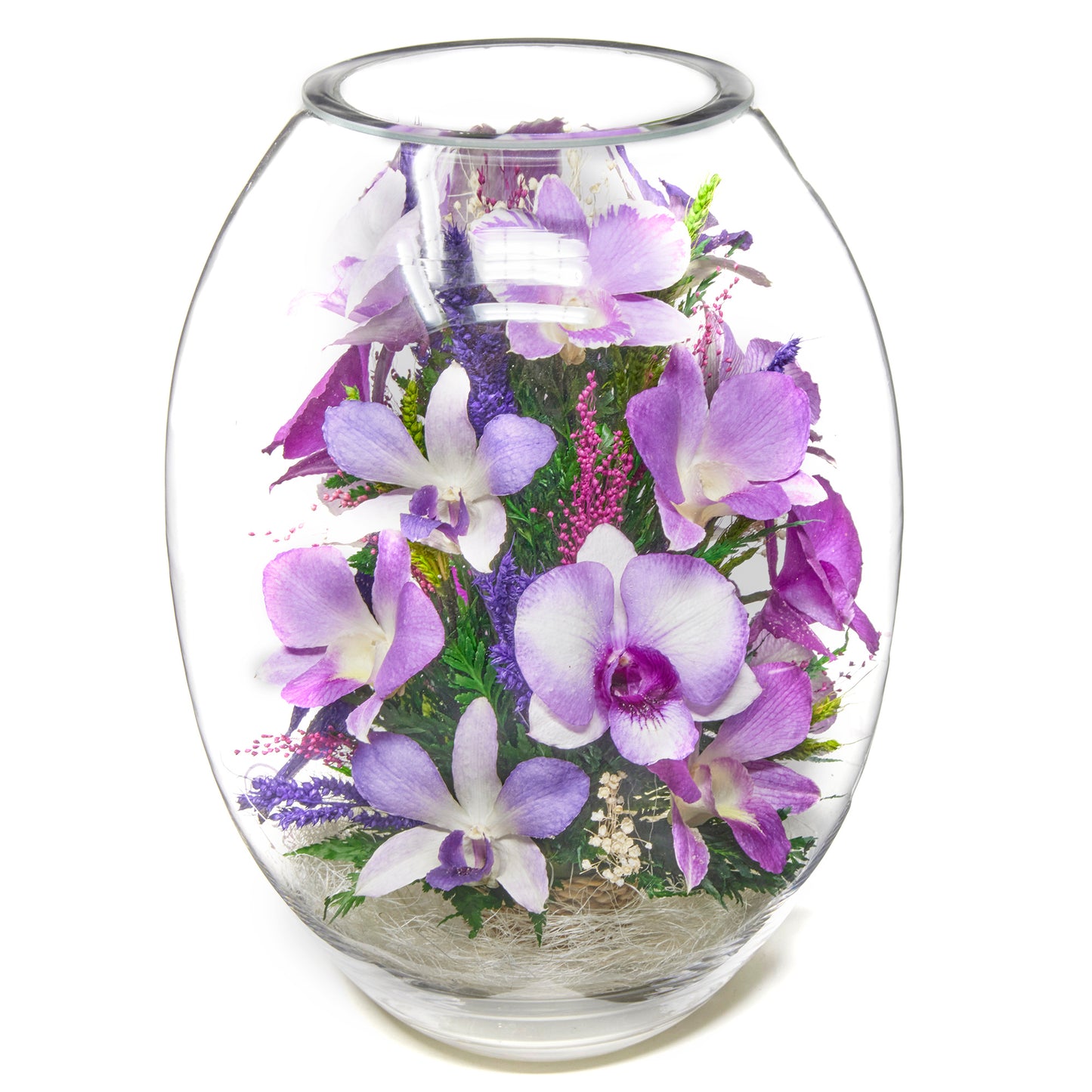 Orchid Oasis