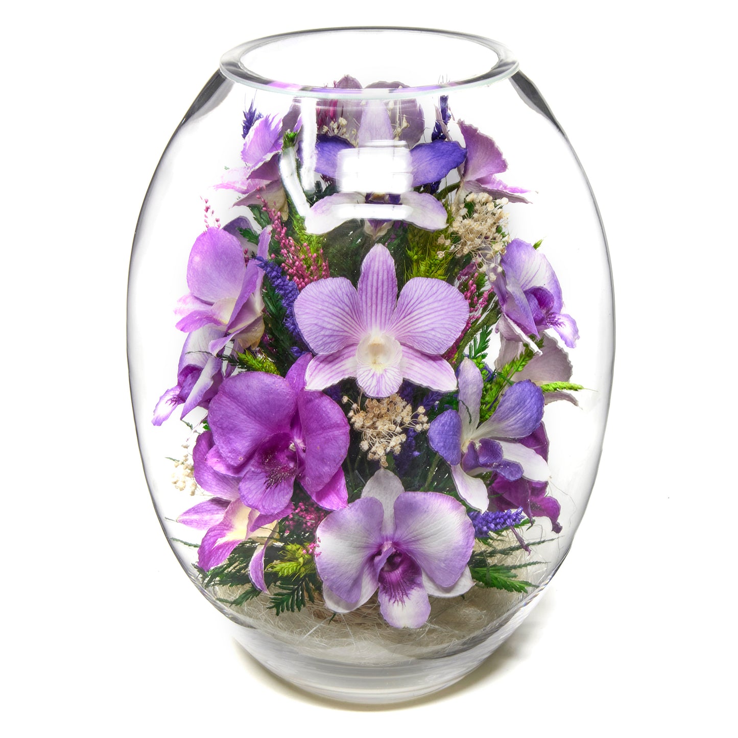 Orchid Oasis