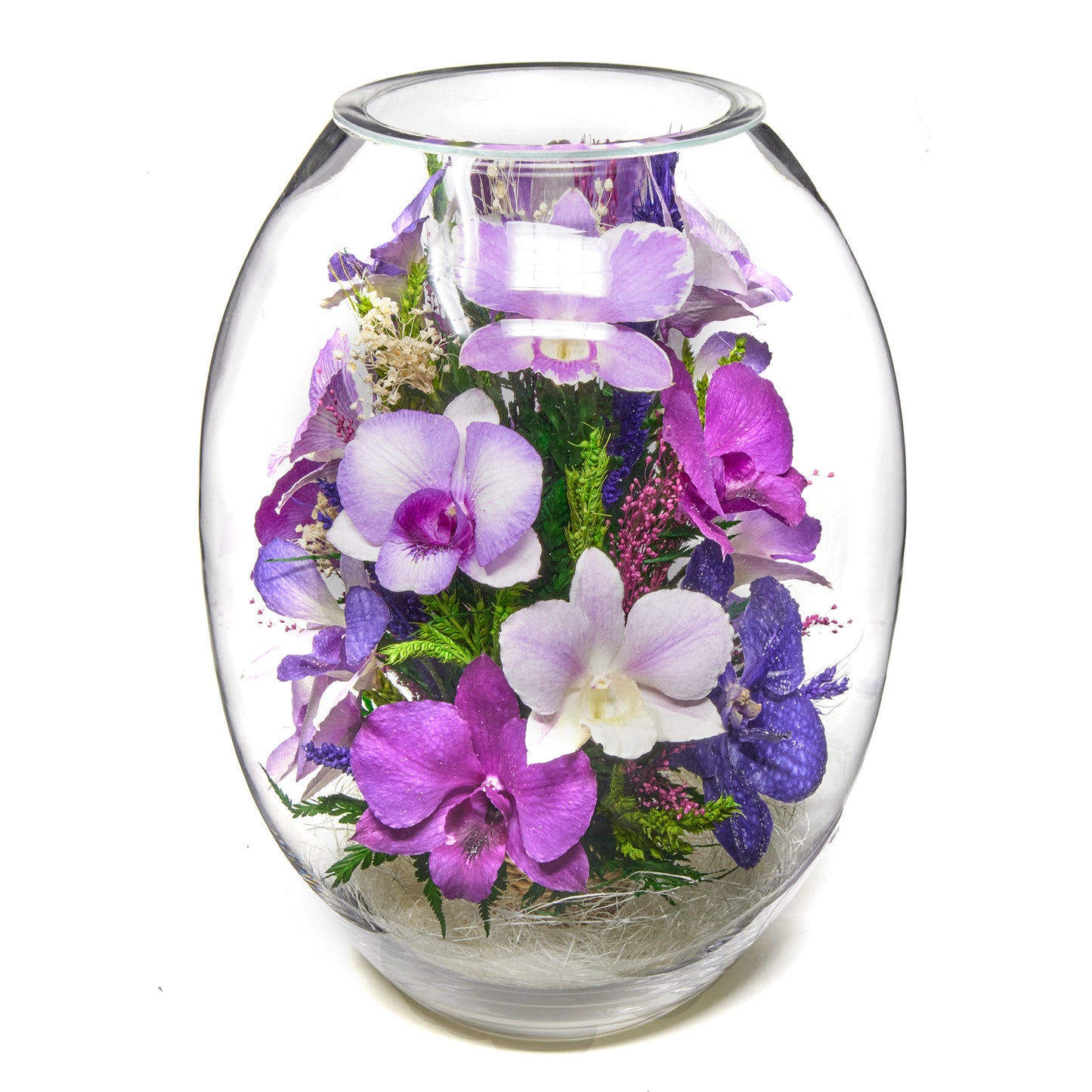 Orchid Oasis
