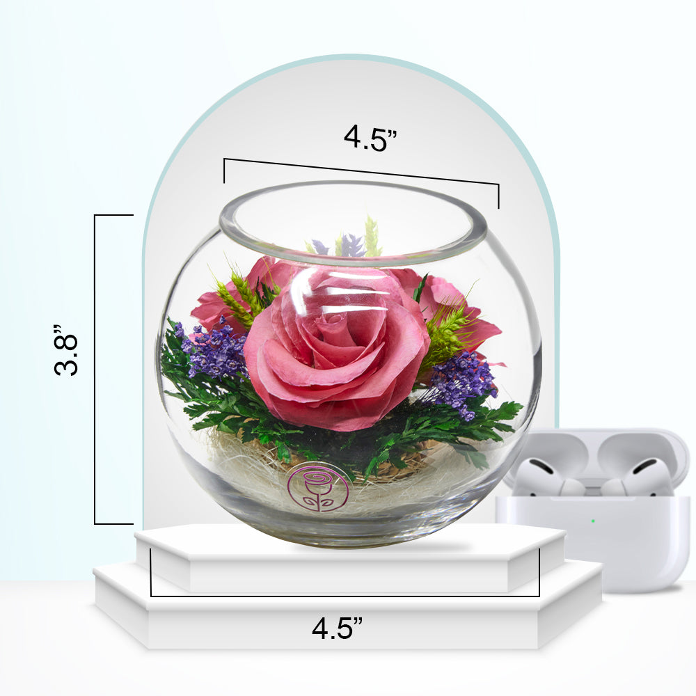 Floral Adventure Roses
