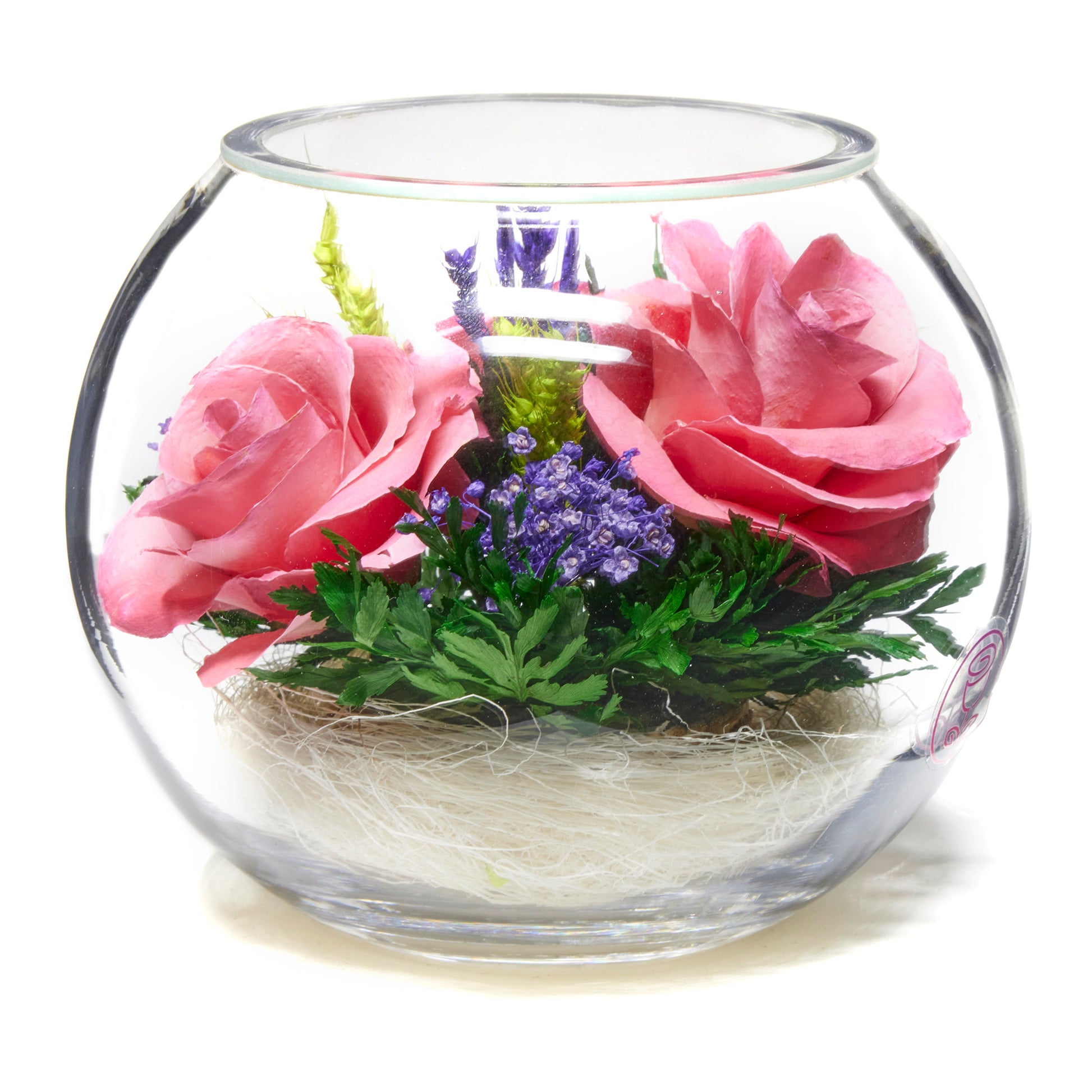 Floral Adventure Roses