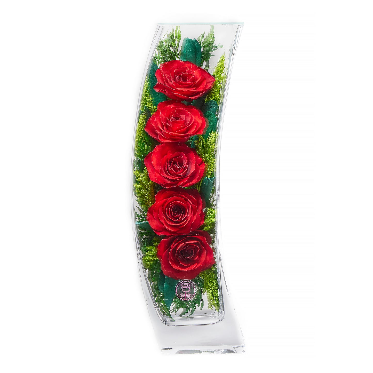 FOMO Love Roses: Petals You Won't Want to Miss Out On